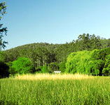 Waterholes Guest House - Coogee Beach Accommodation