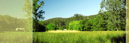 Waterholes Guest House - Coogee Beach Accommodation 0