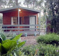 A Maze N Things Holiday Park - Coogee Beach Accommodation