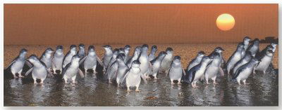 First Class Bed And Breakfast - Coogee Beach Accommodation 1