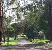 Moe Gardens Caravan Park - Coogee Beach Accommodation