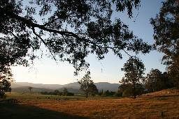 Cann River Rainforest Caravan Park - Coogee Beach Accommodation 0