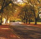 La Trobe at Beechworth - Coogee Beach Accommodation