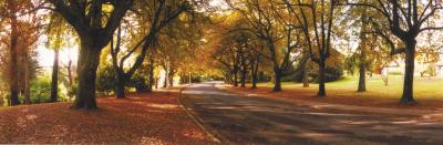 La Trobe At Beechworth - Coogee Beach Accommodation 0