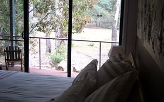 Glengarriff Town Houses - Coogee Beach Accommodation 0