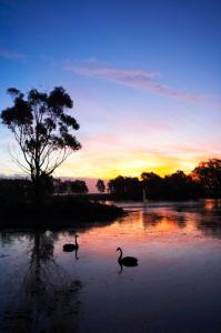 WorldMark Resort Ballarat - Coogee Beach Accommodation 5