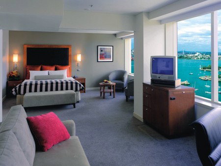 Vibe Hotel North Sydney - Coogee Beach Accommodation 1