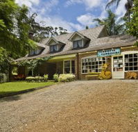 Curtis Falls Mountain Retreat - Coogee Beach Accommodation