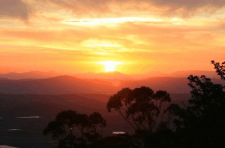 Avocado Sunset - Coogee Beach Accommodation