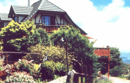 Christel and Tony's Chalet - Coogee Beach Accommodation