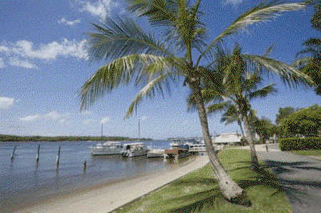 Riviera At Noosa - Coogee Beach Accommodation 1