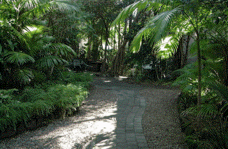 Sunshine Vista - Coogee Beach Accommodation 2