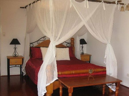 Attunga Park Country Retreat - Coogee Beach Accommodation 4