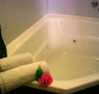 Ocean Grove Cedar Cabins - Coogee Beach Accommodation