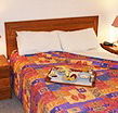 Homestead Motor Inn And Apartments - Coogee Beach Accommodation