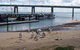 BIG4 Phillip Island Caravan Park - thumb 5