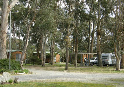 Shady Acres Caravan Park Ballarat - Coogee Beach Accommodation 5