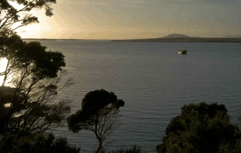 Echo Hills - Coogee Beach Accommodation 4