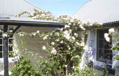 Orford Sanda House B&B - Coogee Beach Accommodation 1