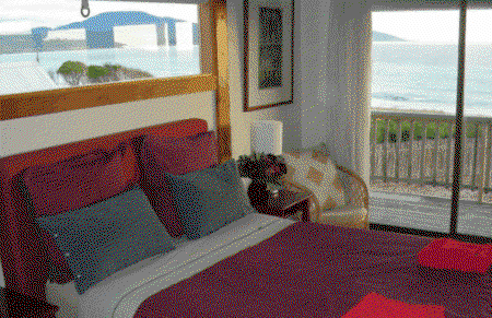 Aurora Beach Cottage - Coogee Beach Accommodation 1