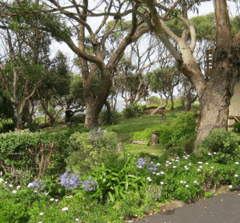 Anchlia Waterfront Cottage - Coogee Beach Accommodation 2