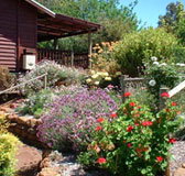 Chestnut Brook Cottage