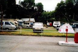 Windsor Gardens Caravan Park - Coogee Beach Accommodation 0