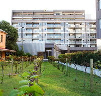 Honeysuckle Executive Apartments - Coogee Beach Accommodation