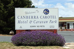 Canberra Carotel Motel - Coogee Beach Accommodation 0