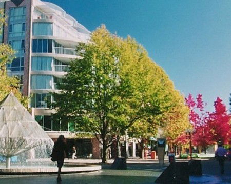 Canberra Wide Apartments - City Plaza - Coogee Beach Accommodation 2