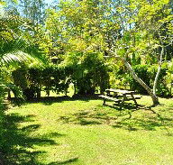 Wooli Caravan Park - Coogee Beach Accommodation