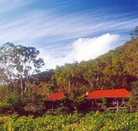 Cedar Creek Cottages - Coogee Beach Accommodation