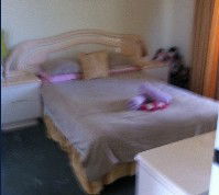 Lake Illawarra Bed & Breakfast - Coogee Beach Accommodation 2