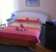 Lake Illawarra Bed & Breakfast - Coogee Beach Accommodation 4