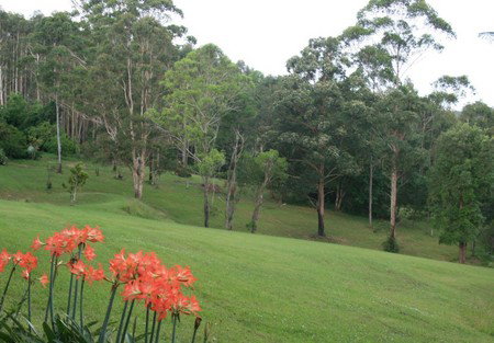 Woodridge Park Country Retreat - Coogee Beach Accommodation 3
