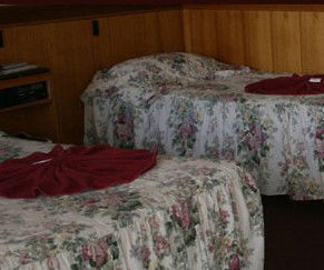 County Lodge Motel - Coogee Beach Accommodation 1