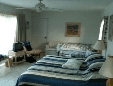 Auntie Ann's B  B - Coogee Beach Accommodation