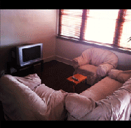 Star Hotel Wauchope - Coogee Beach Accommodation 4