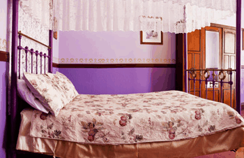 Stannum House - Coogee Beach Accommodation 1