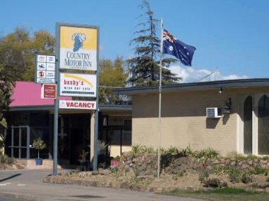 Country Motor Inn Singleton - thumb 0