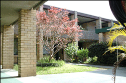 Amg Ryde Sydney - Coogee Beach Accommodation