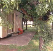 Carinya Cabins  Caravan Park - Coogee Beach Accommodation