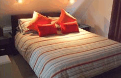 Melaleuca Mountain Chalets - Coogee Beach Accommodation 1
