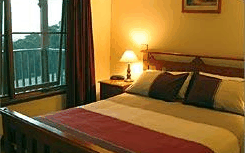 Melaleuca Mountain Chalets - Coogee Beach Accommodation 4
