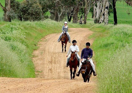 Hanericka Farm Stay - Coogee Beach Accommodation 1