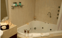 Club Motor Inn - Coogee Beach Accommodation 1