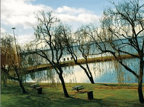 Lake Mulwala Holiday Park - Coogee Beach Accommodation 2