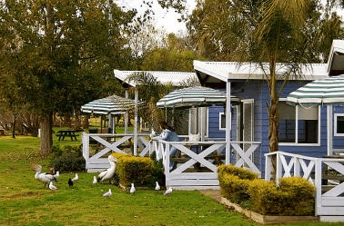 Lake Mulwala Holiday Park - Coogee Beach Accommodation 3