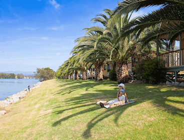 Riverbreeze Tourist Park - Coogee Beach Accommodation 2