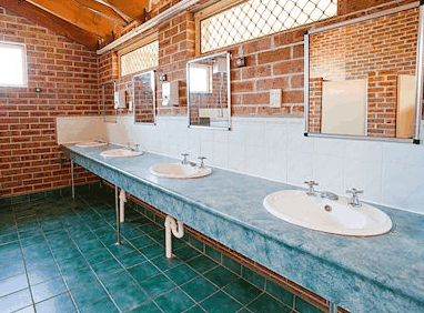 Riverbreeze Tourist Park - Coogee Beach Accommodation 3